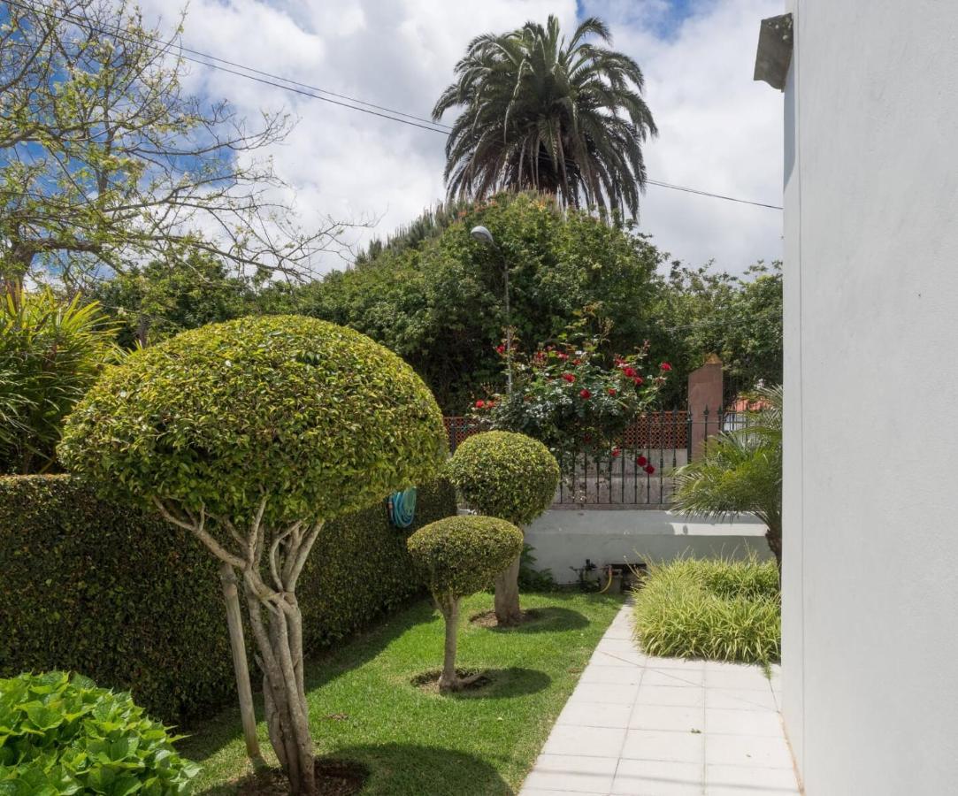 Appartement Donde Conchita, Cerca Del Aeropuerto Norte à La Laguna  Extérieur photo